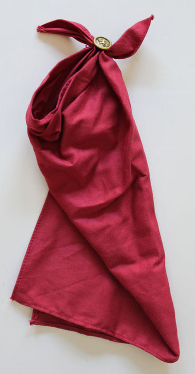 Greek Cloak with Pegasus Medallion for 12