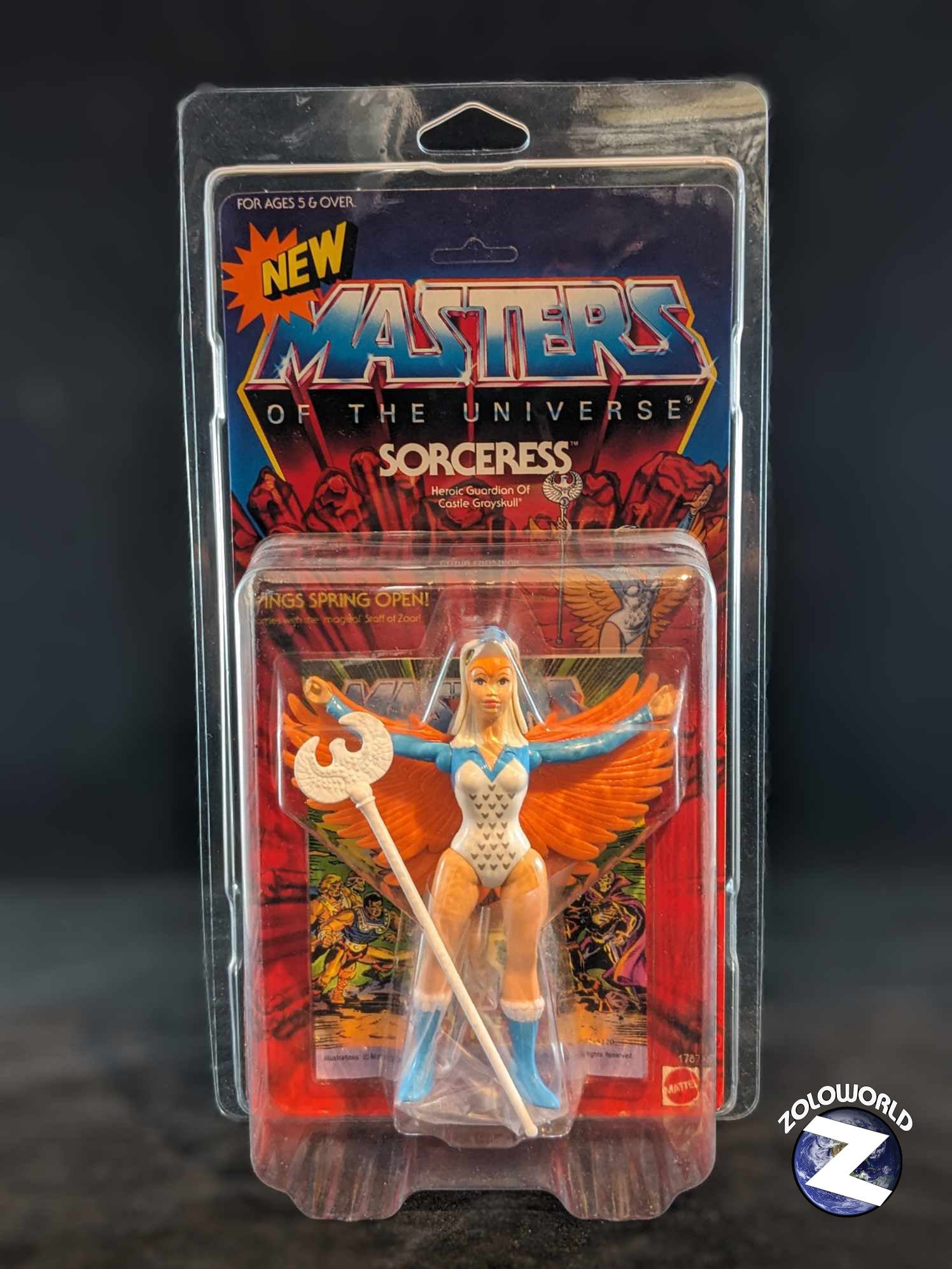 PRE-ORDER ZOLOWORLD ORIGINAL MOTU Masters Of The Universe MOC PROTECTIVE CASE | 11.5"L X 6.25"W X 2.5"D